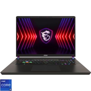 Laptop MSI Gaming 17'' Vector 17 HX A14VIG, QHD+ 240Hz, Procesor Intel® Core™ i9 14900HX (36M Cache, up to 5.80 GHz), 32GB DDR5, 1TB SSD, GeForce RTX 4090 16GB, Free DOS, Cosmos Gray