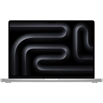 Laptop MacBook Pro 16.2 inch Liquid Retina XDR M4 Max 48GB 1TB SSD macOS Silver Laptop MacBook Pro 16.2 inch Liquid Retina XDR M4 Max 48GB 1TB SSD macOS Silver